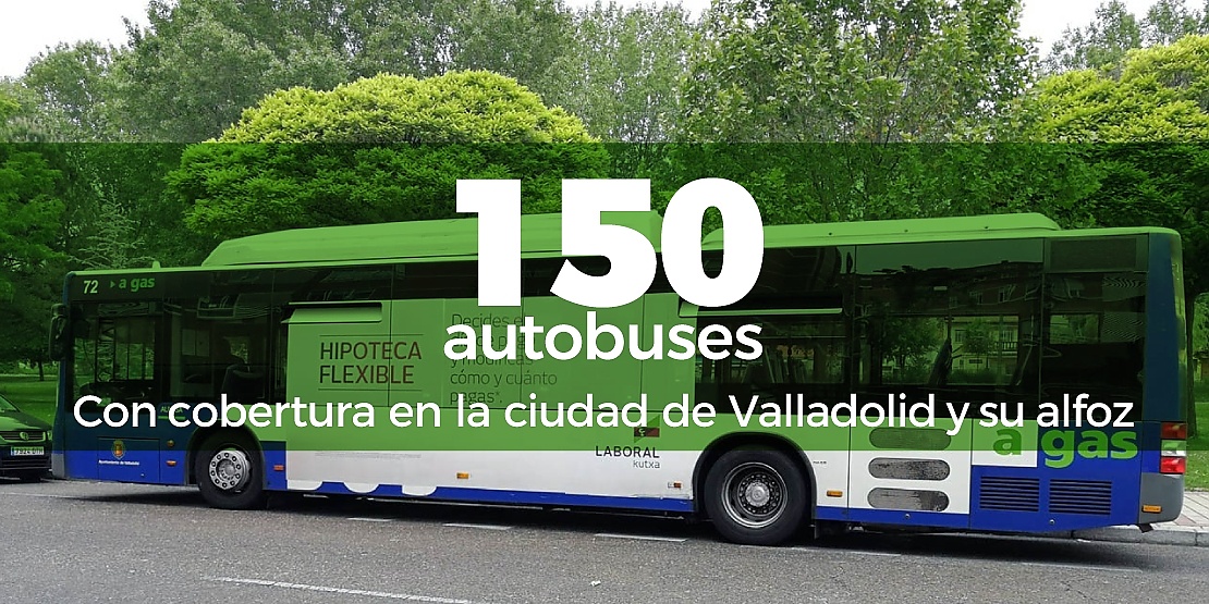 150 autobuses